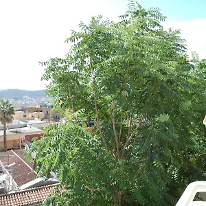  Apartamento Signorile Iun S0575